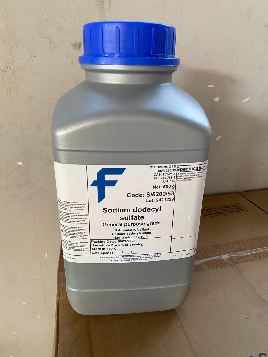 Sodium dodecyl Sulfate Sẵn Kho | Giá Tốt từ Đại diện Thermo Fisher tại Việt Nam - NI VINA